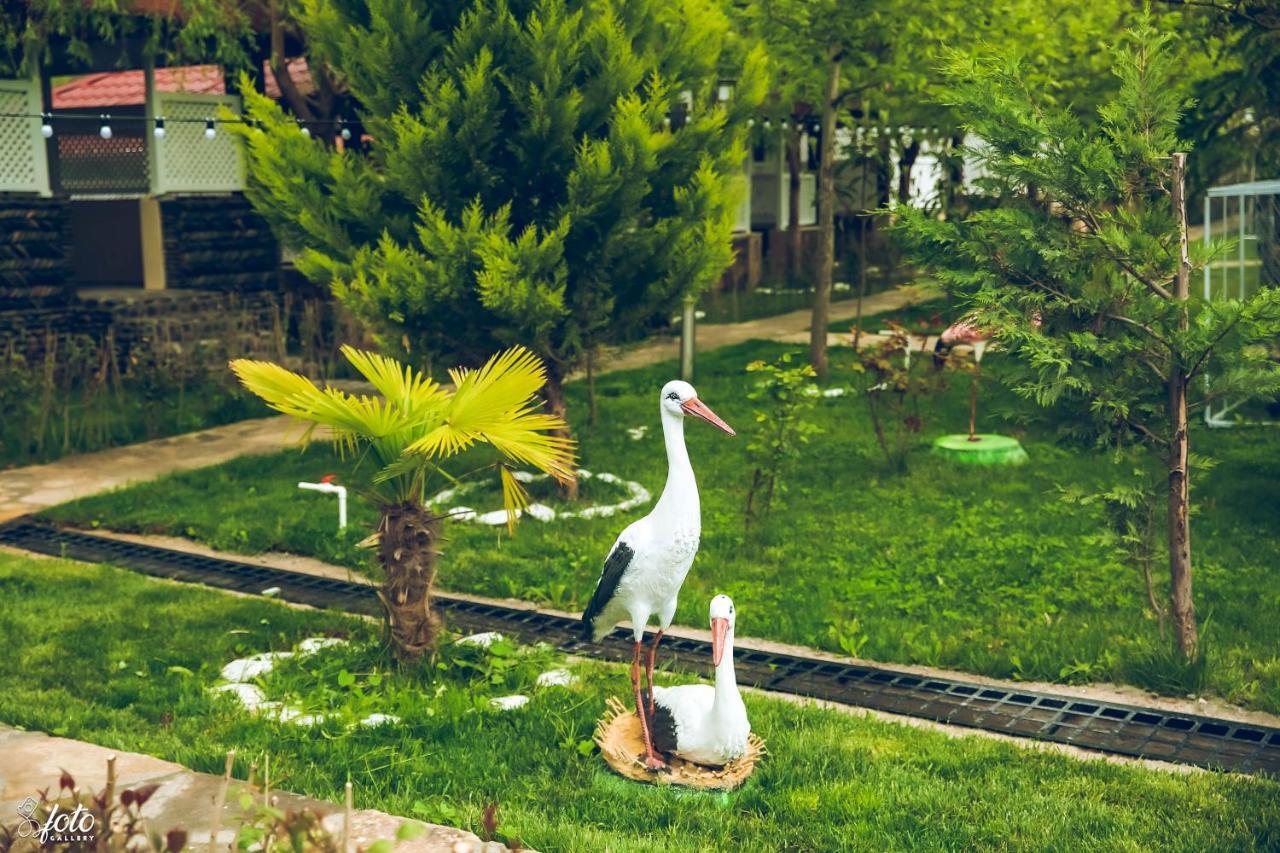 Su Sesi Hotel&Restorant Goygol Buitenkant foto